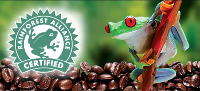 rainforest alliance