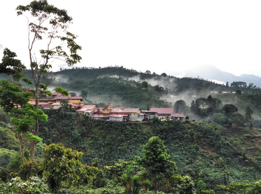 finca cafetalera mexicana