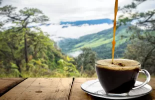 mejor cafe del mundo