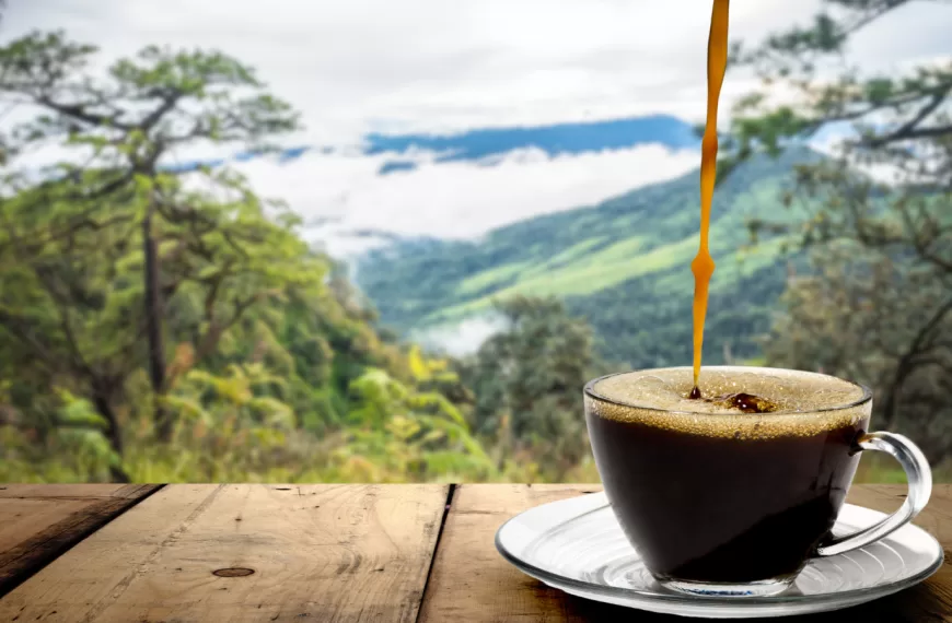 mejor cafe del mundo