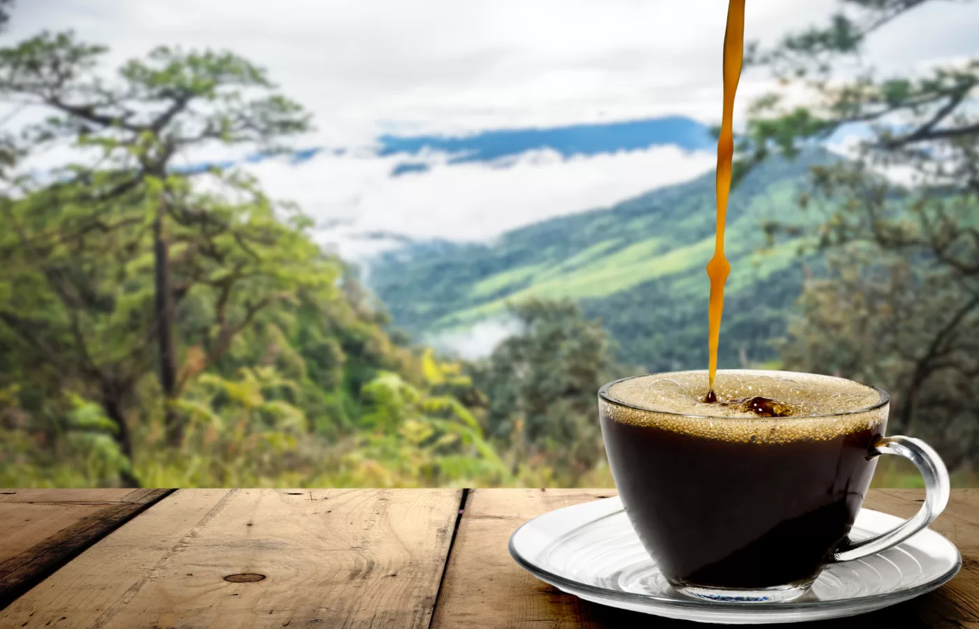 mejor cafe del mundo